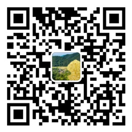 彩吧助手APP